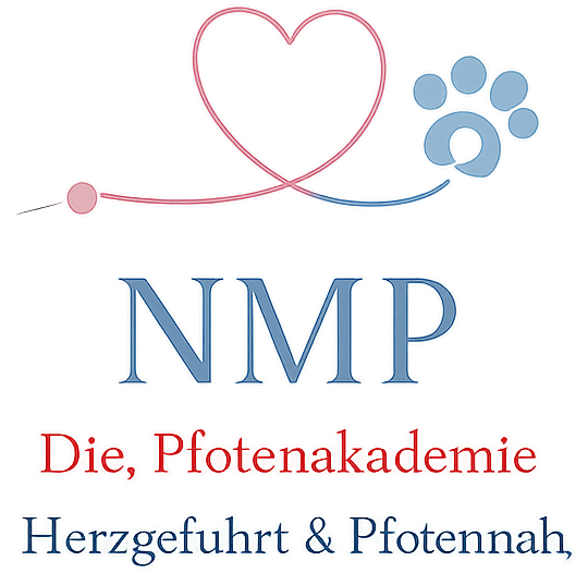 NMP-Photenakademie 2026